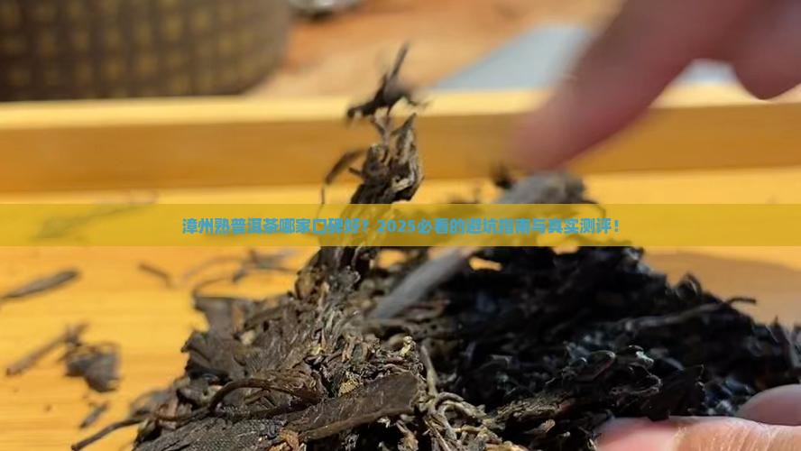 漳州熟普洱茶哪家口碑好