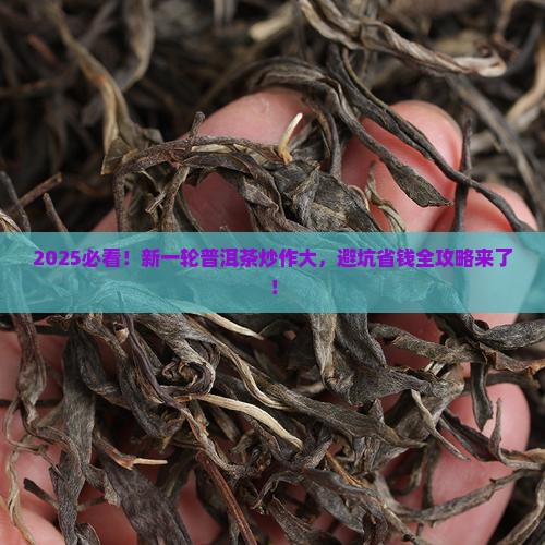 新一轮普洱茶炒作