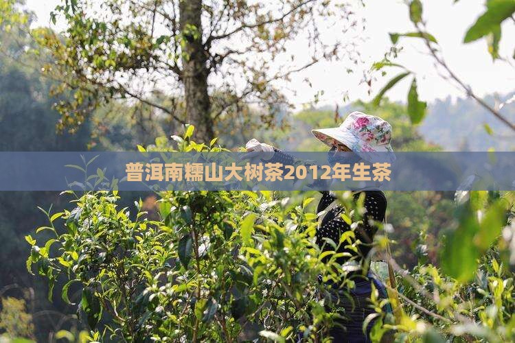 南糯山大树茶2012年生茶