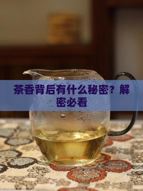 有关茶的三个字