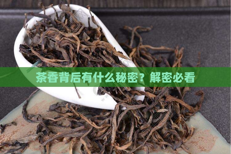 有关茶的三个字