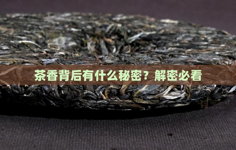 有关茶的三个字