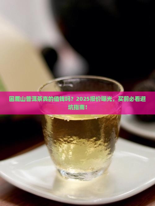 困鹿山普洱茶报价行情