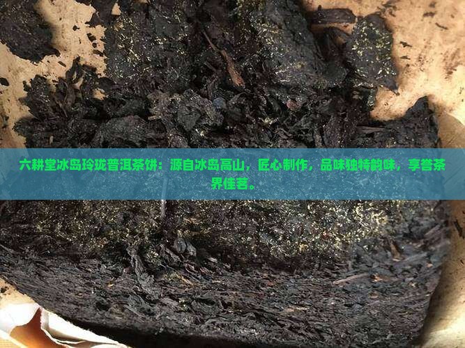 六耕堂冰岛玲珑普洱茶饼