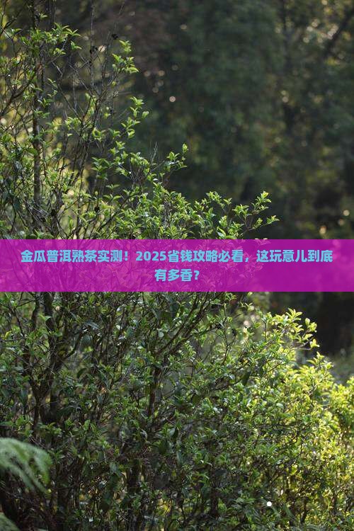 金瓜普洱茶熟茶