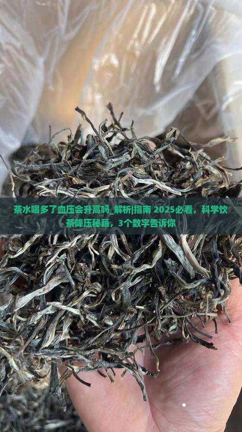 茶水喝多了血压会升高吗