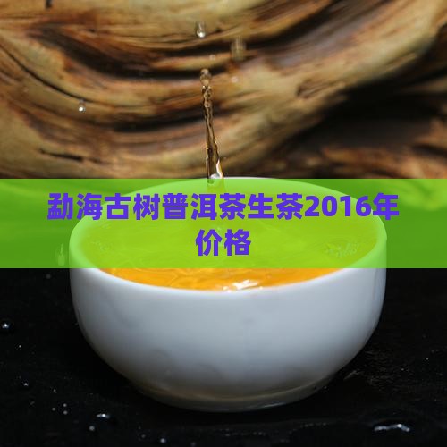 勐海大树普洱茶生茶2016年