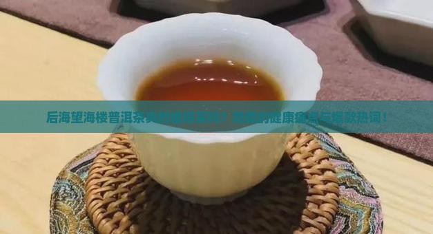 后海望海楼普洱茶 后海望海楼普洱茶