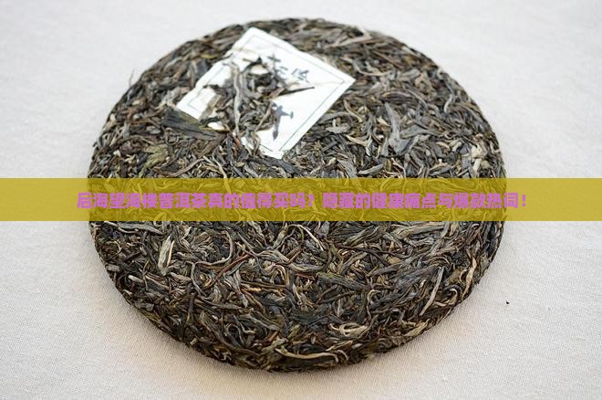 后海望海楼普洱茶 后海望海楼普洱茶