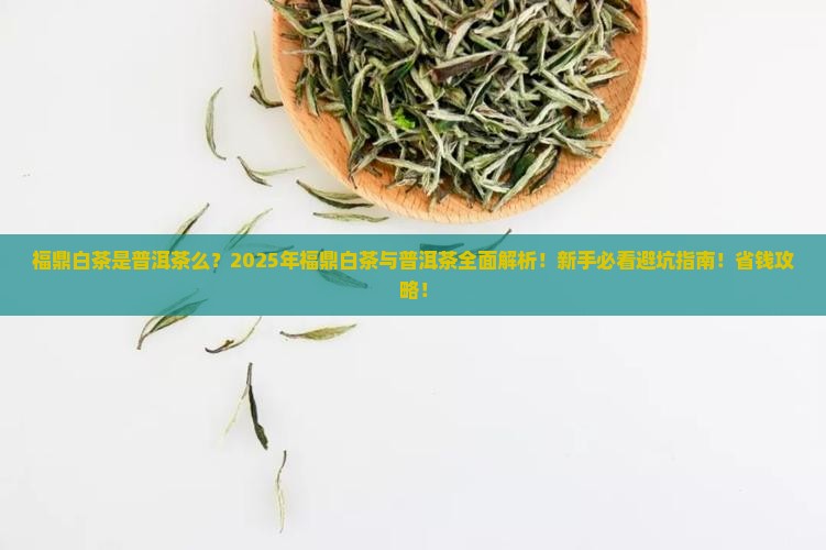 福鼎白茶是普洱茶么