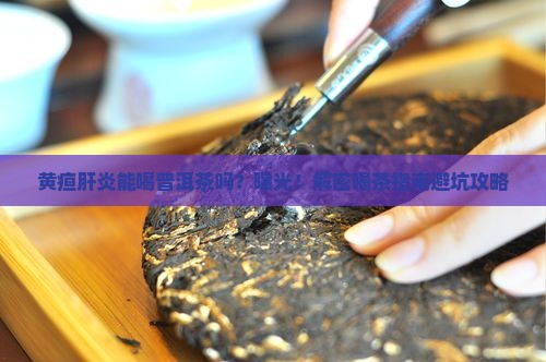 黄疸肝炎可以喝普洱茶吗