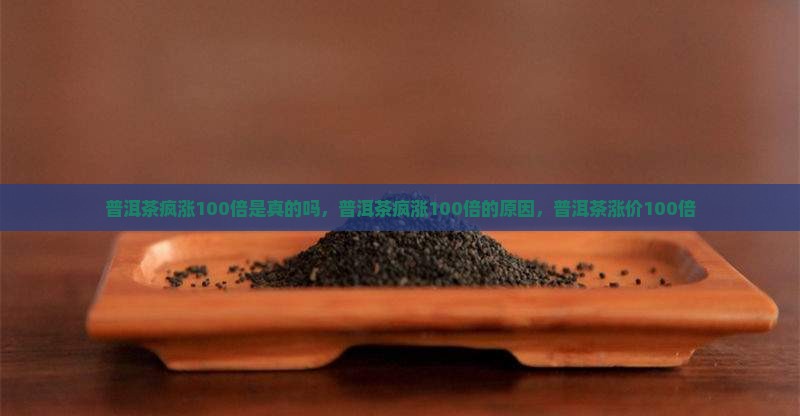 普洱茶疯涨100倍