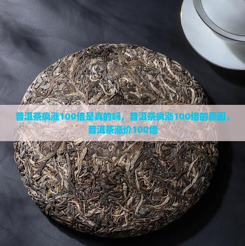 普洱茶疯涨100倍