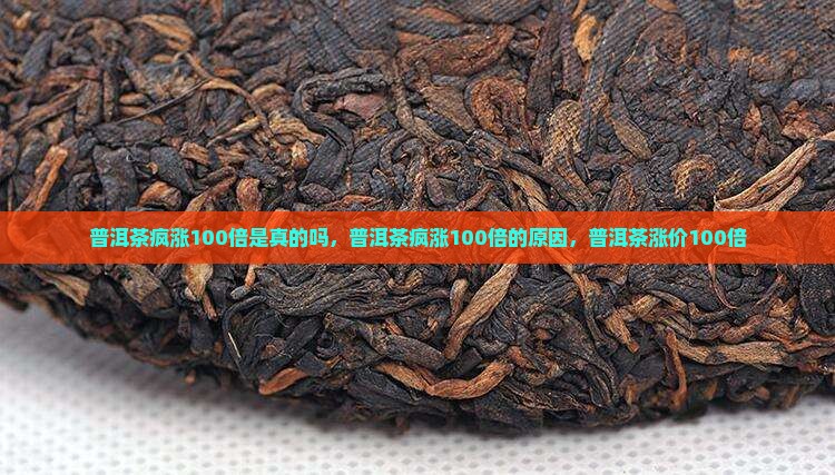 普洱茶疯涨100倍