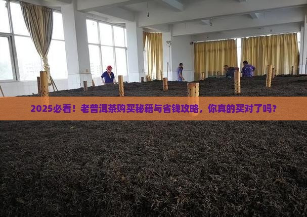哪儿有购买购老普洱茶的