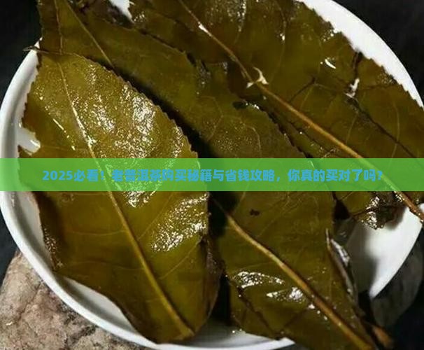 哪儿有购买购老普洱茶的