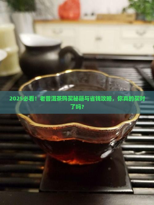 哪儿有购买购老普洱茶的