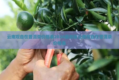 云南观自在普洱茶价格表