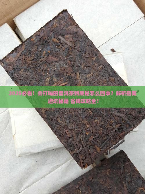 会打嗝的普洱茶