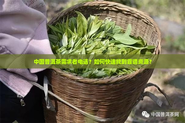 中国普洱茶需求者电话