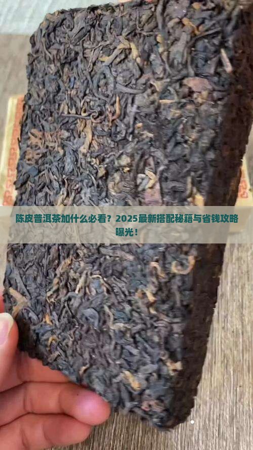 陈皮普洱茶加什么好喝