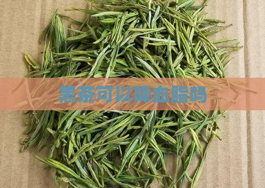 黑茶可以降血脂吗