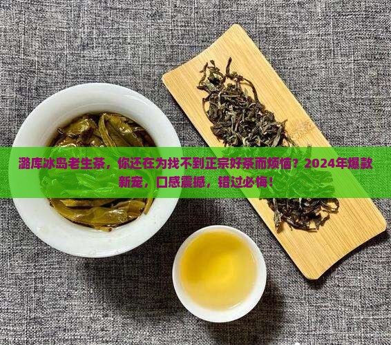 潞库冰岛老生茶