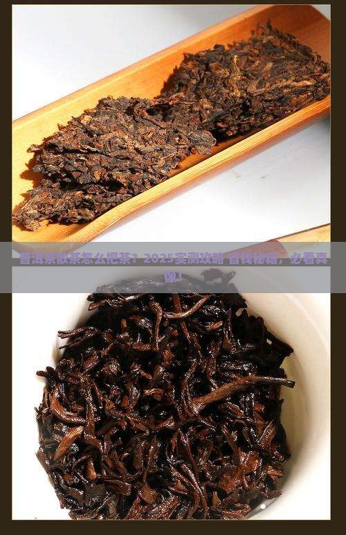 普洱茶散茶把茶