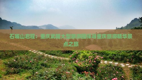 石嘴山启程：重庆武隆大型旅游团探寻重庆旅游精华景点之旅