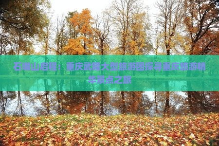 石嘴山启程：重庆武隆大型旅游团探寻重庆旅游精华景点之旅