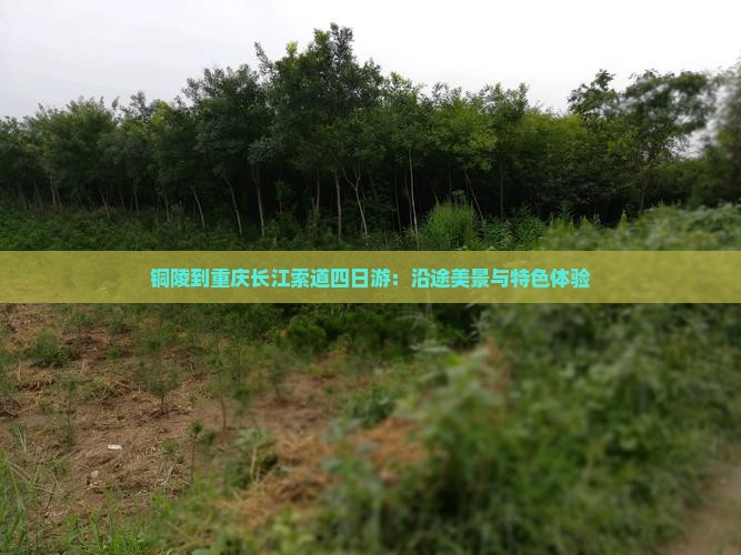 铜陵到重庆长江索道四日游：沿途美景与特色体验