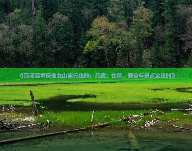 《菏泽至重庆仙女山旅行攻略：交通、住宿、美食与景点全攻略》