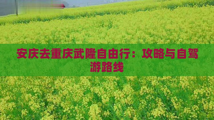 安庆去重庆武隆自由行：攻略与自驾游路线