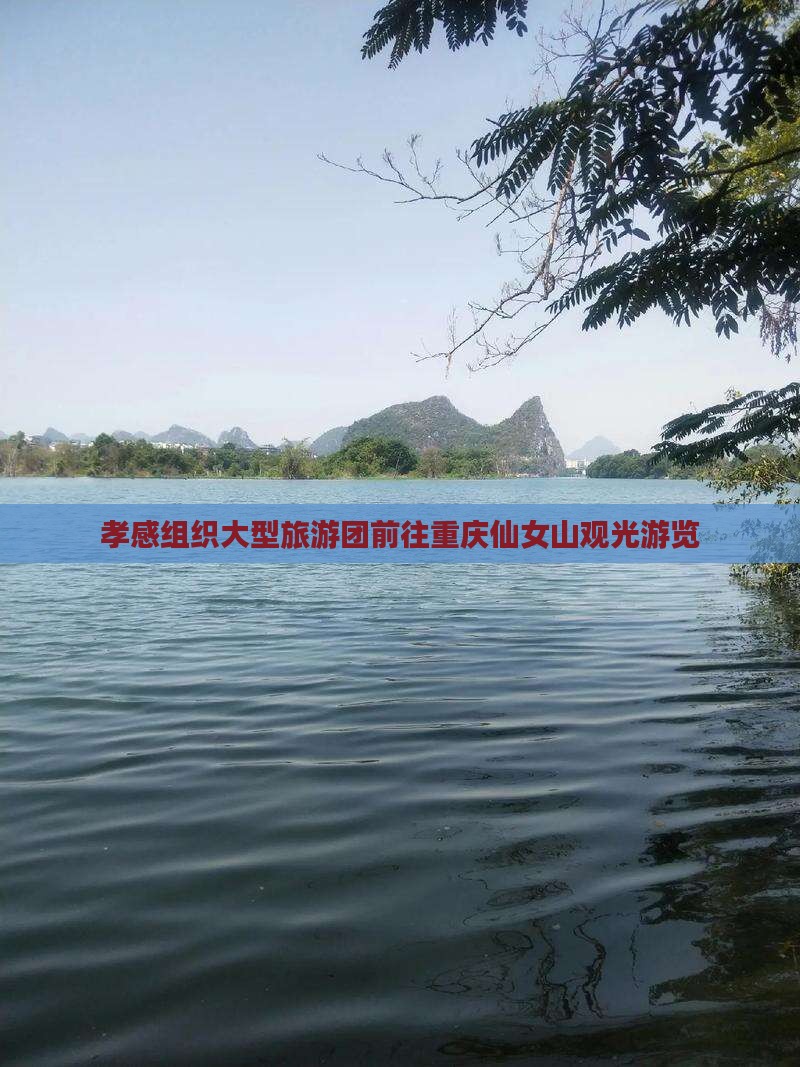 孝感组织大型旅游团前往重庆仙女山观光游览