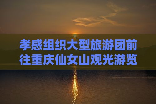 孝感组织大型旅游团前往重庆仙女山观光游览