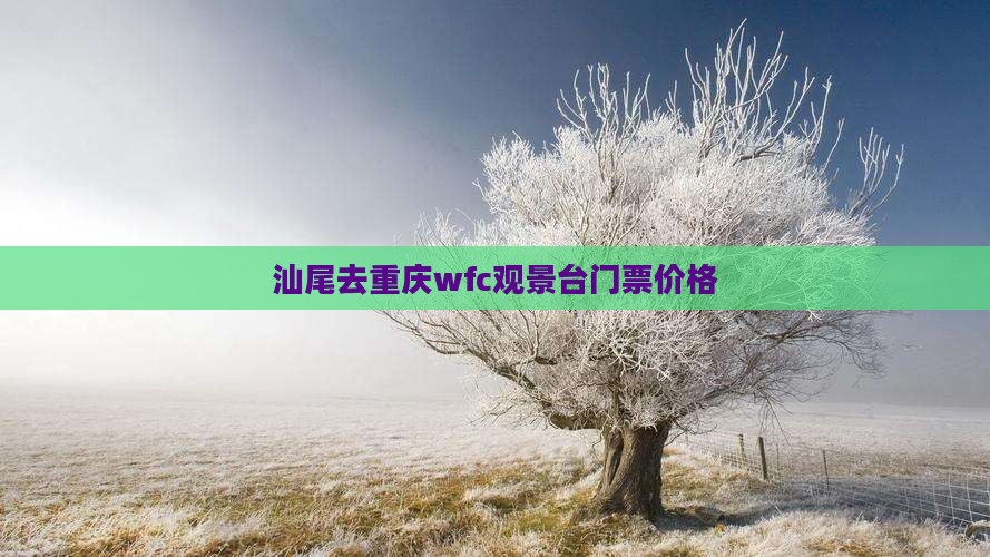 汕尾去重庆wfc观景台门票价格