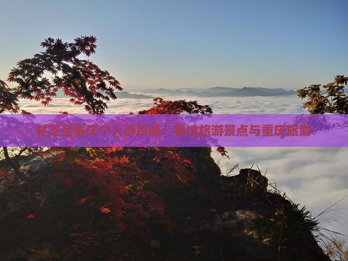 林芝至重庆个人游攻略：精选旅游景点与重庆旅游