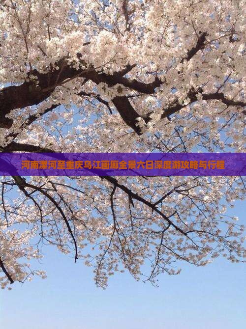 河南漯河至重庆乌江画廊全景六日深度游攻略与行程