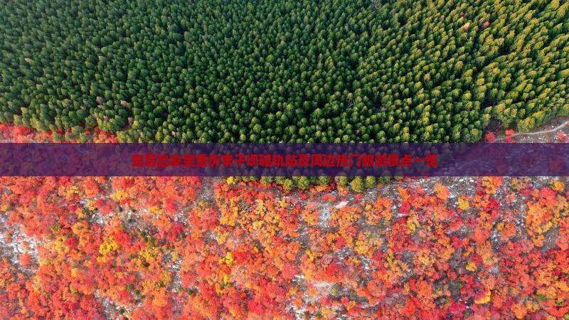 宜昌出发至重庆李子坝轻轨站及周边热门旅游景点一览