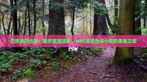 巴彦淖尔出发：重庆旅游攻略，WFC观景台与小吃的美食之旅