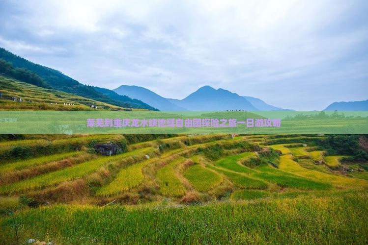 莱芜到重庆龙水峡地缝自由团探险之旅一日游攻略