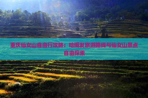 重庆仙女山自由行攻略：哈闽发旅游路线与仙女山景点自由探索