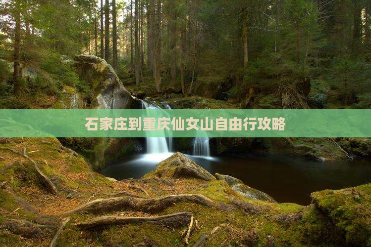 石家庄到重庆仙女山自由行攻略