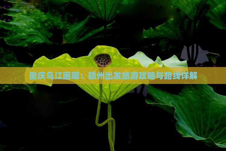 重庆乌江画廊：赣州出发旅游攻略与路线详解