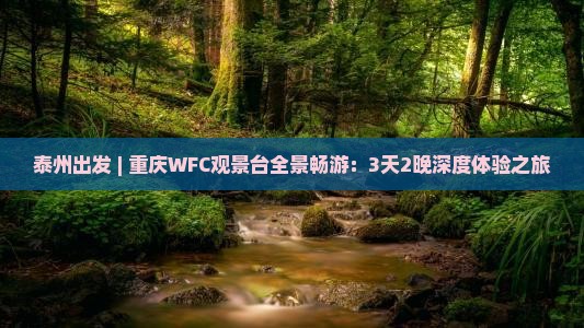 泰州出发 | 重庆WFC观景台全景畅游：3天2晚深度体验之旅