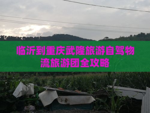临沂到重庆武隆旅游自驾物流旅游团全攻略