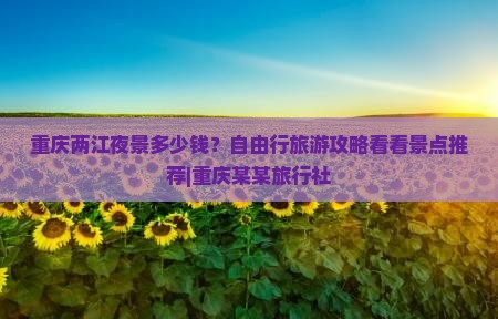 重庆两江夜景多少钱？自由行旅游攻略看看景点推荐|重庆某某旅行社