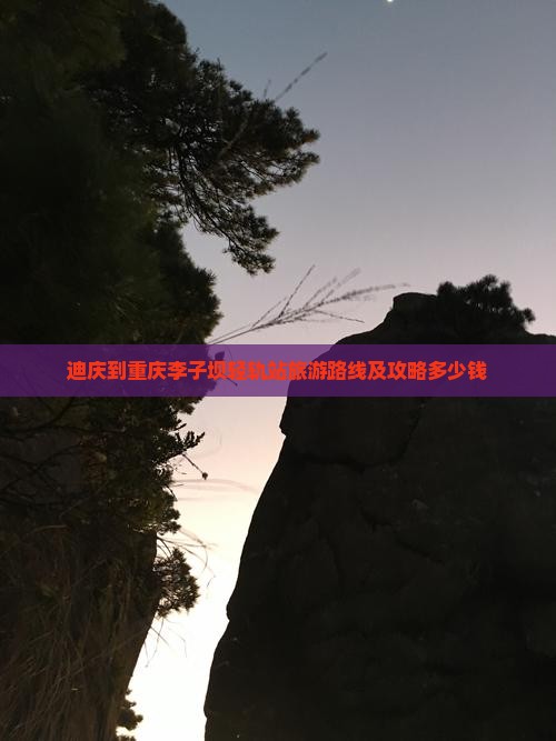 迪庆到重庆李子坝轻轨站旅游路线及攻略多少钱
