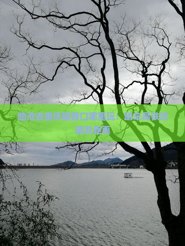 临沧去重庆磁器口哪里玩：动车高铁攻略及距离