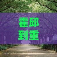 霍邱到重庆两江夜游个人游攻略及行程推荐